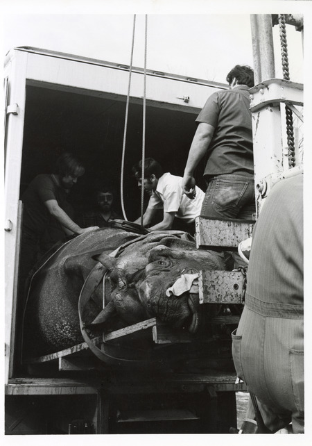 Annotation: "Clinics Gen. Tiny from Omaha. 20 Feb. 75"