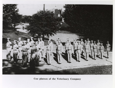 Annotation: "One platoon of the Veterinary Company"