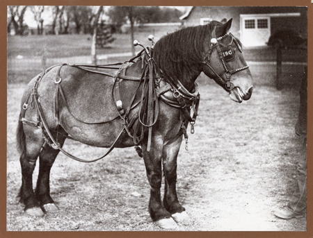 Annotation: "Jalop - ISU work horse 1938"