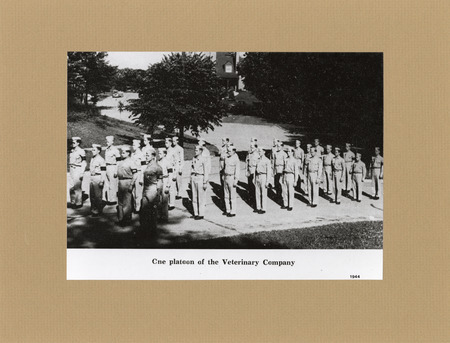 Annotation: "One platoon of the Veterinary Company"