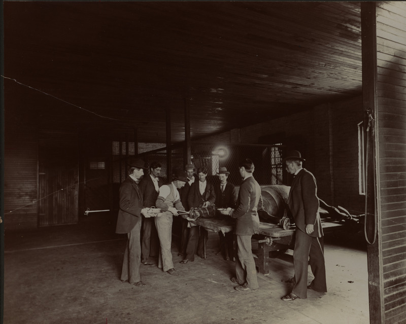 Photograph of the veterinary hospital operating room. It shows people surrounding an animal on an operating table.