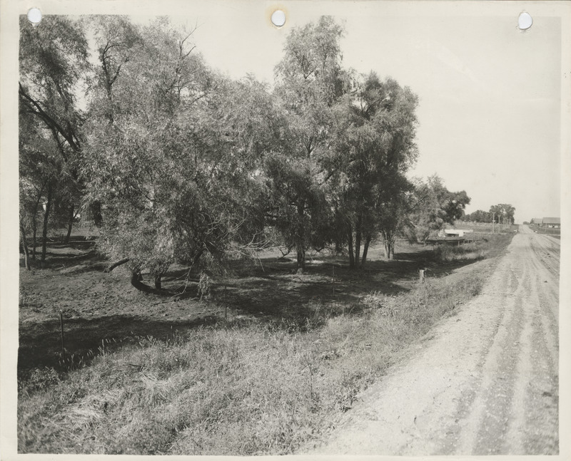 Photograph of a road that benefits from a Skunk River channel change