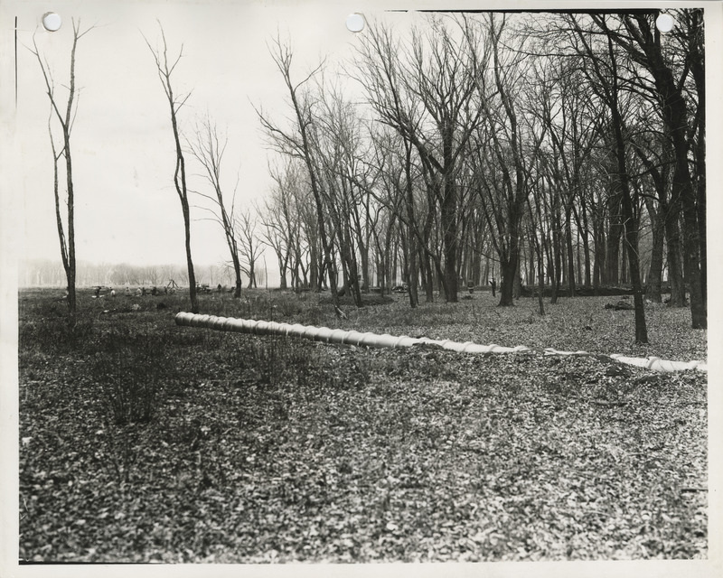 Photograph of landscaping Credit Island Park in Davenport