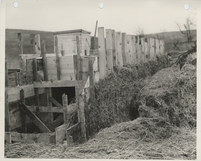 Photograph of culvert construction for a farm to market road in Ringgold County