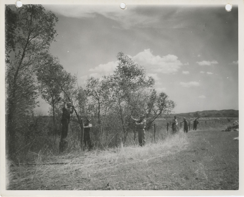 Photograph of people fencing a bird reserve at Lake Manawa in Council Bluffs
