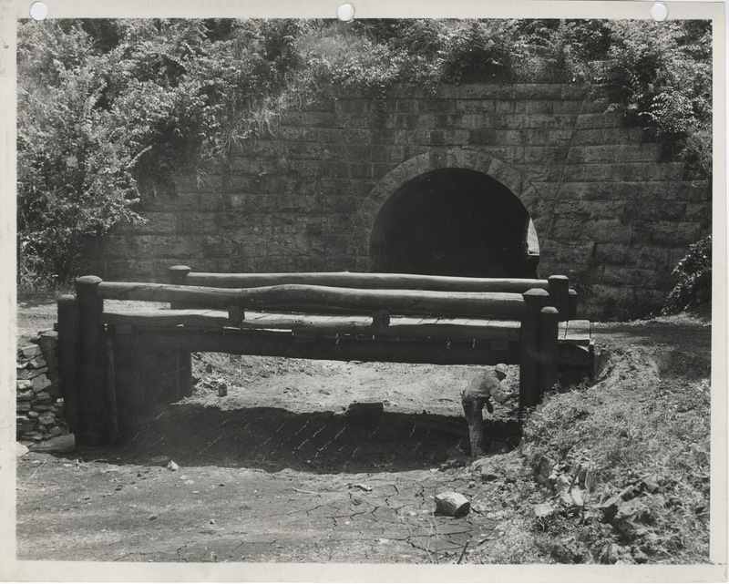 Photograph of a log bridge on the college campus in Ames