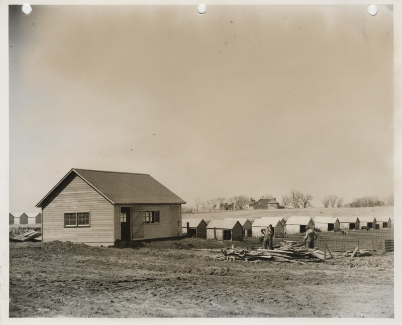 Photograph of buildings on the swine farm at Iowa State College in Story County