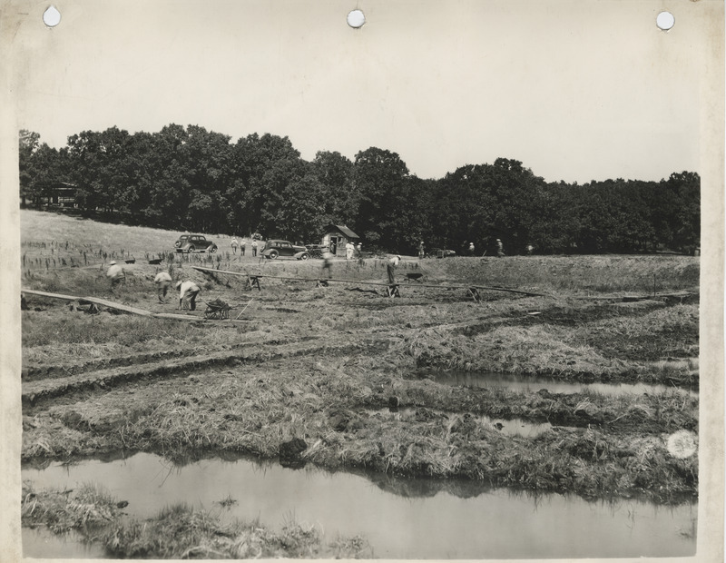 Photograph of people working at the fish rearing ponds north of Cresco in Howard County