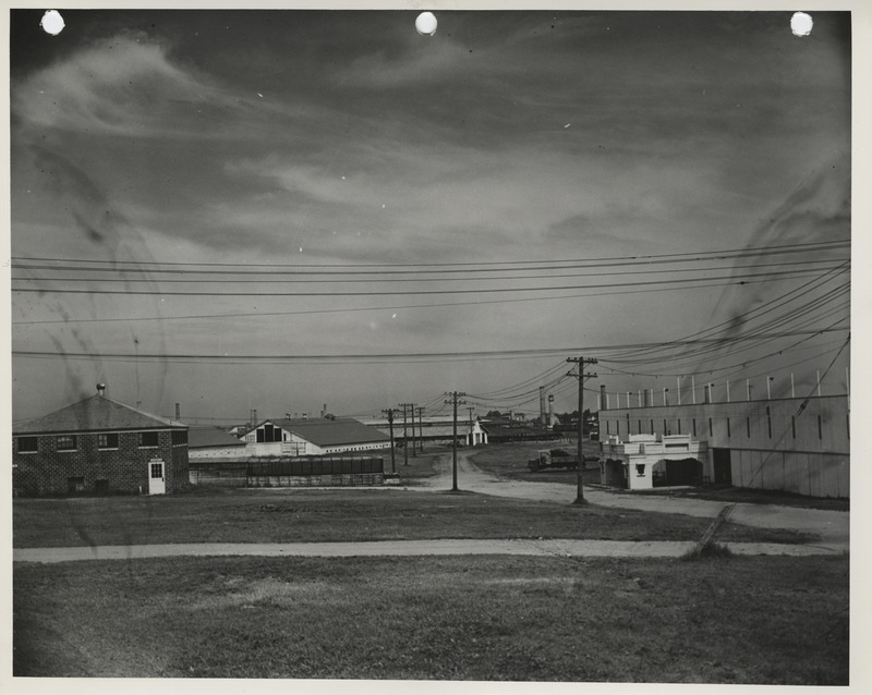 Photograph of North Iowa Fairgrounds