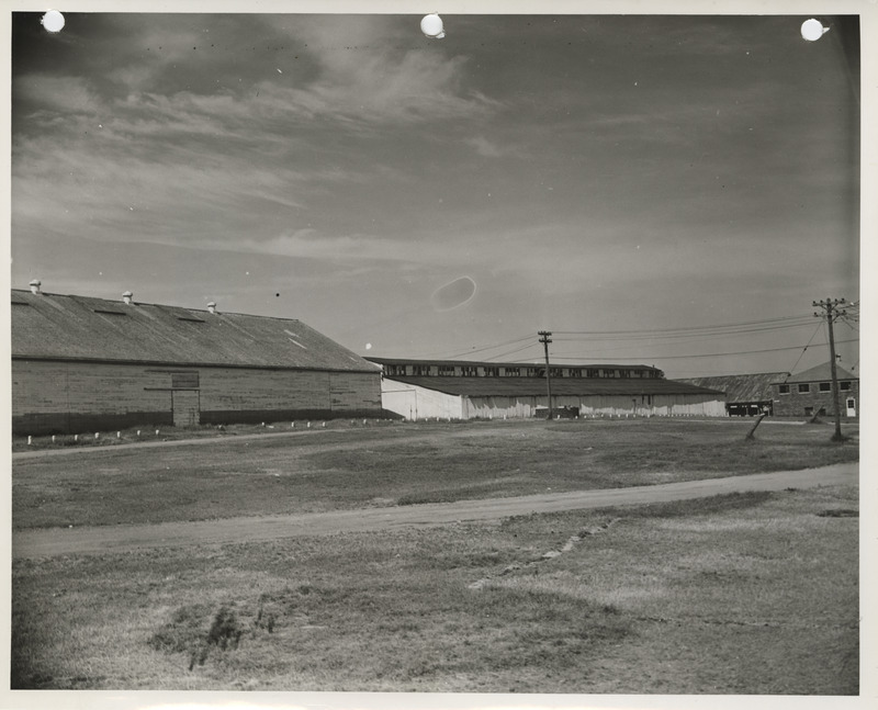 Photograph of North Iowa Fairgrounds