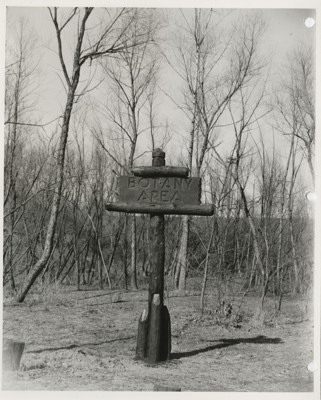 Photograph of Botany Area sign at Pine Lake State Park in Hardin County