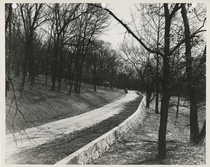 Photograph of a road at Devil's Glen Park in Bettendorf