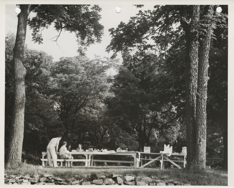 Photograph of people at a picnic area at Crawford Park in Fort Dodge