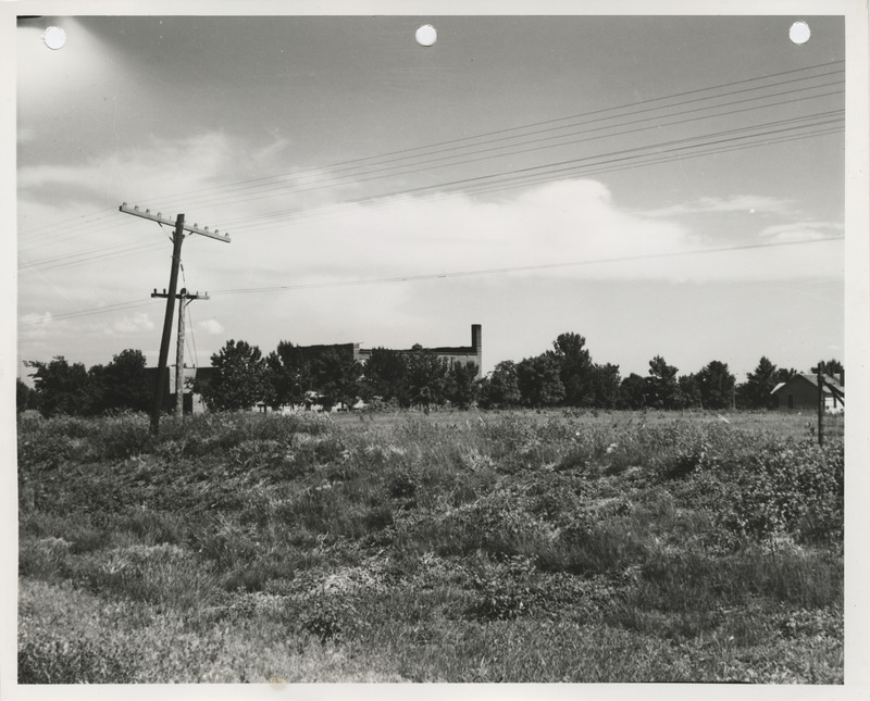 Photograph of a site for a school ground improvement project in Lake View
