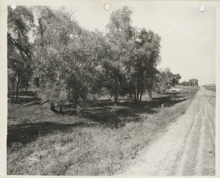 Photograph of a road that benefits from a Skunk River channel change