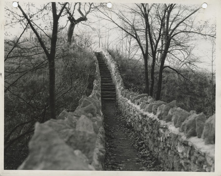 Photograph of a trail at Eagle Point Park in Clinton