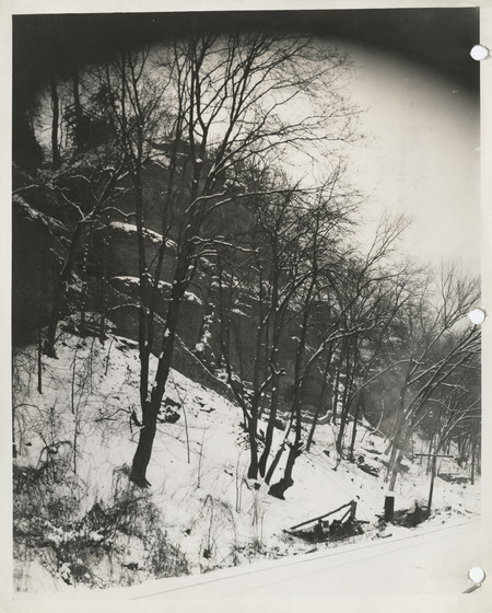 Photograph of the cliff trail at Eagle Point Park in Clinton