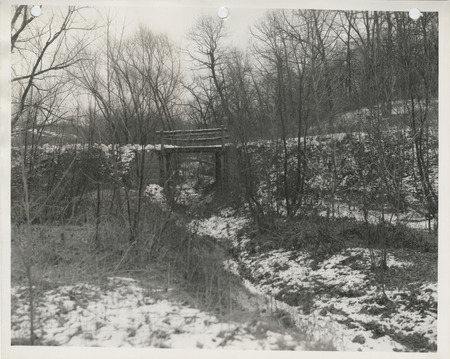 Photograph of a culvert at Wildcat Den State Park in Muscatine County