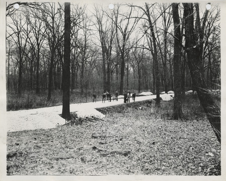 Photograph of surfacing roads at Credit Island Park in Davenport