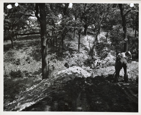 Photograph of person working on the water main in Winterset