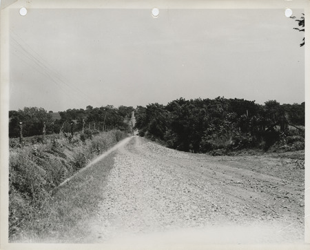 Photograph of a farm to market road two miles east of Columbia in Marion County