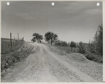 Photograph of a farm to market road two miles east of Columbia in Marion County