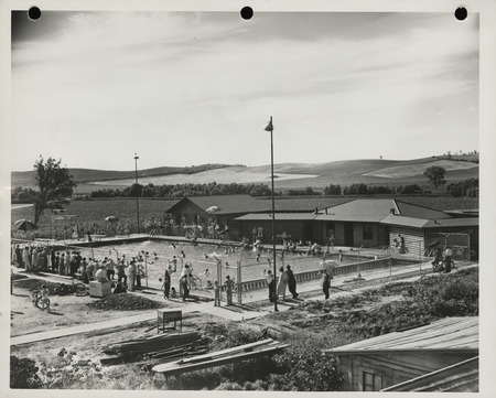 Photograph of people using the municipal swimming pool in Mapleton