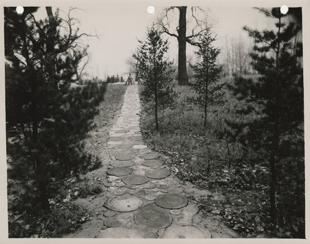 Photograph of sidewalk made of rough logs in the Lewis and Clark State Park