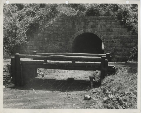 Photograph of a log bridge on the college campus in Ames