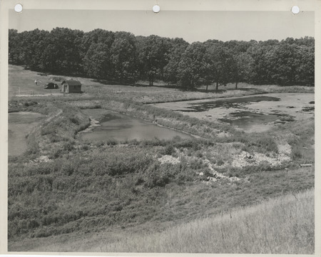 Photograph of the fish rearing ponds north of Cresco in Howard County