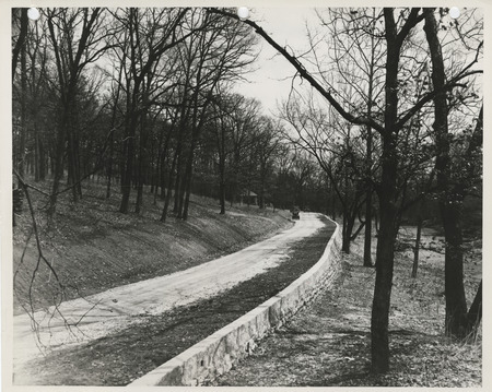 Photograph of a road at Devil's Glen Park in Bettendorf