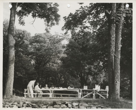 Photograph of people at a picnic area at Crawford Park in Fort Dodge
