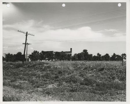 Photograph of a site for a school ground improvement project in Lake View